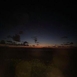 Meet your Posher, Ginny